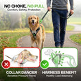 Load image into Gallery viewer, SUPREME SPORT Harness, LEASH and NITE Lite Bundle