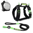 Load image into Gallery viewer, ULTIMATE URBAN Harness, LEASH and NITE Lite Bundle