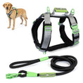 Load image into Gallery viewer, ULTIMATE URBAN Harness and STRAP LEASH Bundle