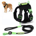 Load image into Gallery viewer, SUPREME SPORT Harness and STRAP LEASH Bundle