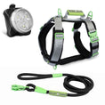 Load image into Gallery viewer, ULTIMATE URBAN Harness, LEASH and NITE Lite Bundle
