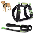 Load image into Gallery viewer, ULTIMATE URBAN Harness and LEASH Bundle