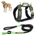 Load image into Gallery viewer, ULTIMATE URBAN Harness and LEASH Bundle