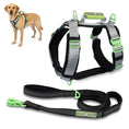 Load image into Gallery viewer, ULTIMATE URBAN Harness and STRAP LEASH Bundle