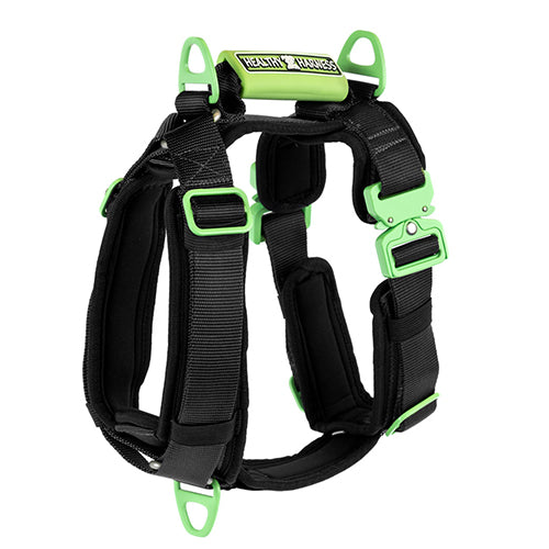 ULTIMATE URBAN DOG HARNESS
