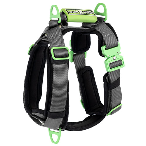 ULTIMATE URBAN DOG HARNESS