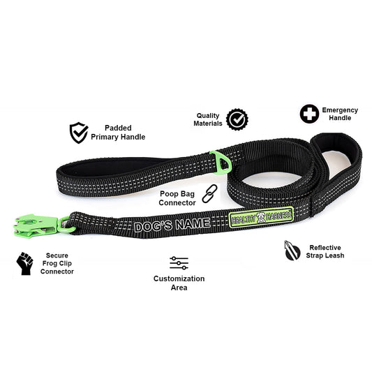 Healthy Harness Leash with FREE CUSTOMIZATION