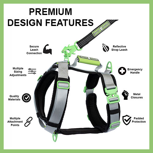 10 Key Features of a Premium Dog Harness