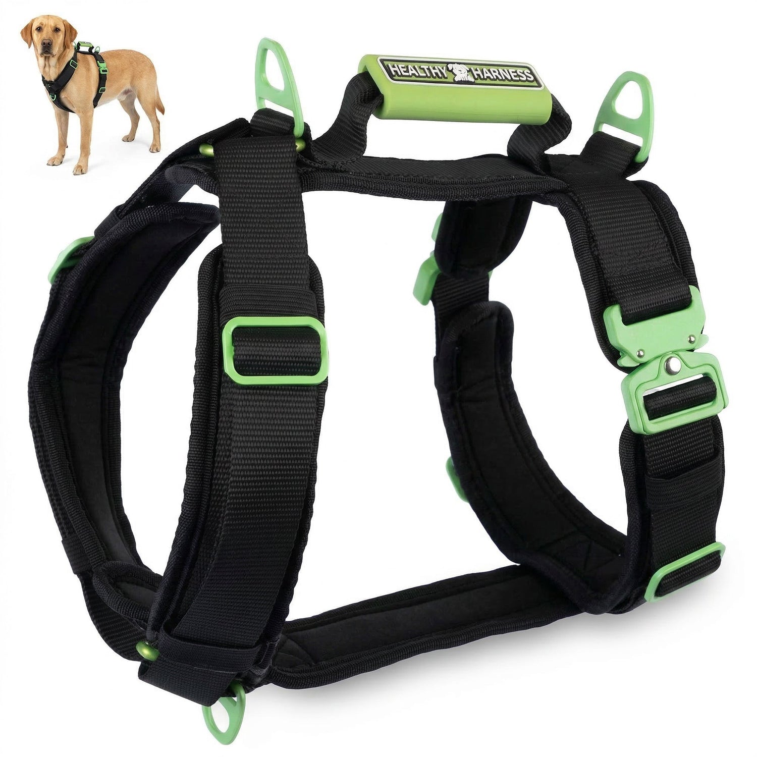 DOG HARNESSES