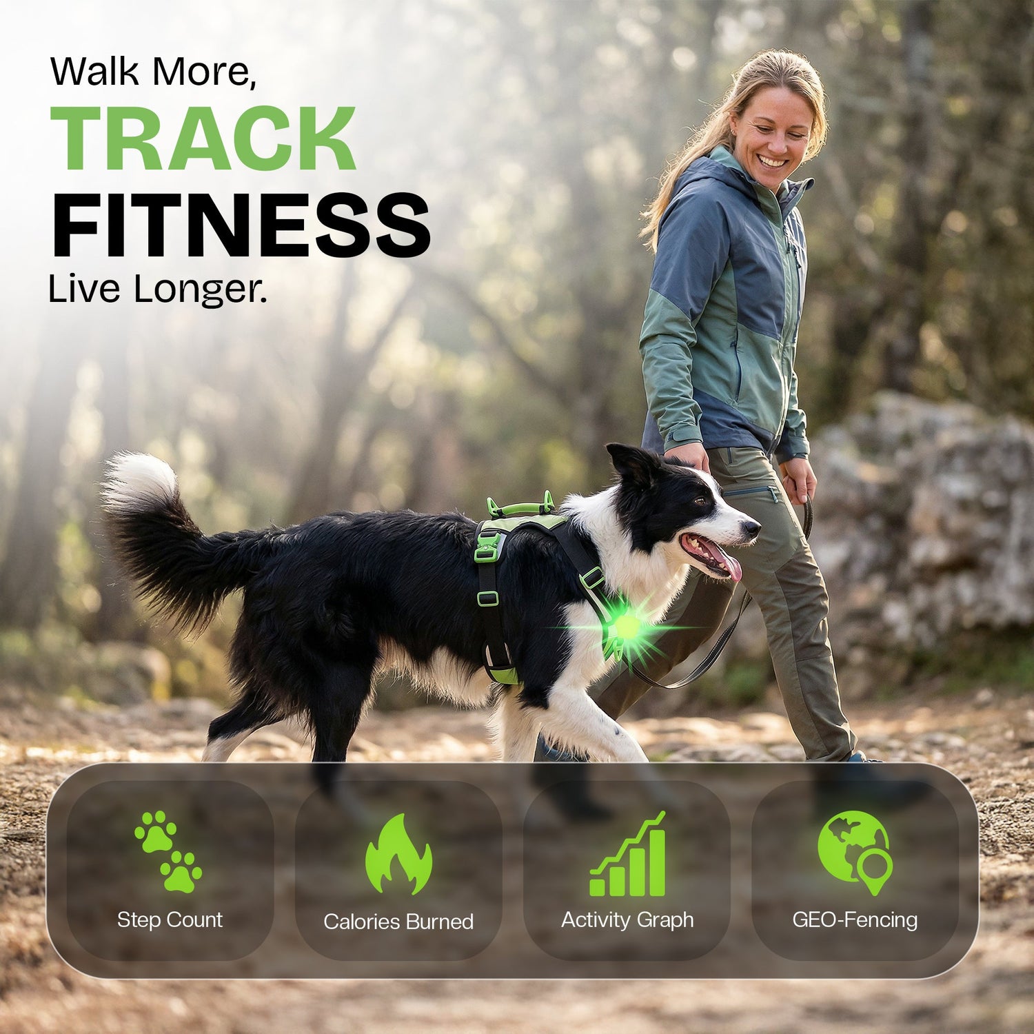 Healthy Harness DOG TECH