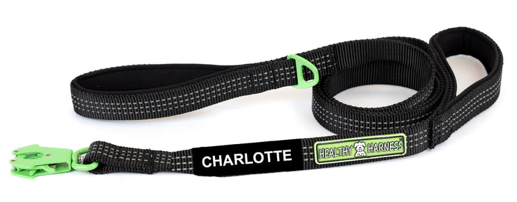 Healthy Harness Products with FREE CUSTOMIZATIONS