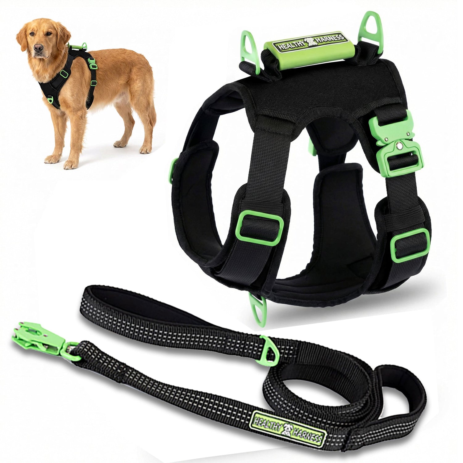 Dog HARNESS & LEASH Bundle