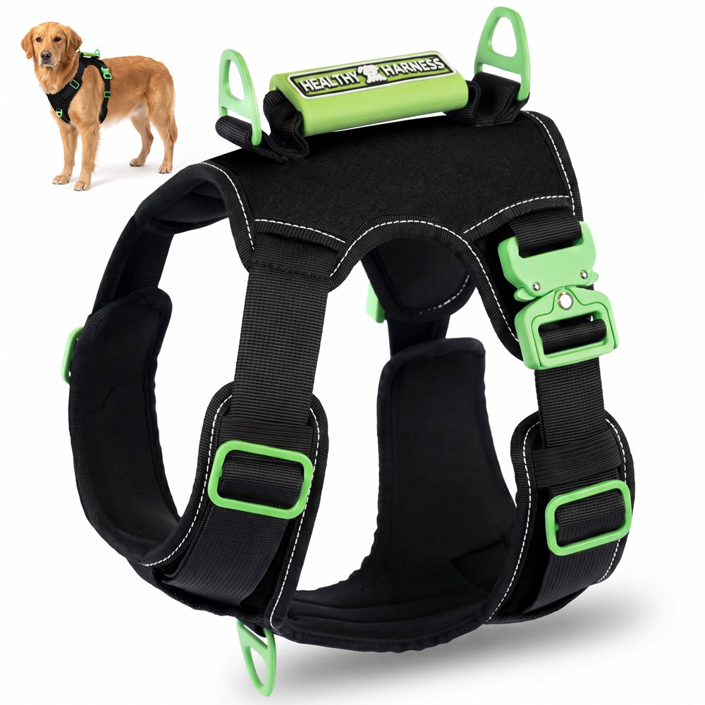 SUPREME SPORT Harness