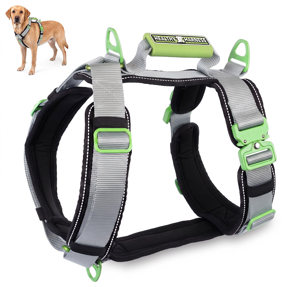 ULTIMATE URBAN Harness
