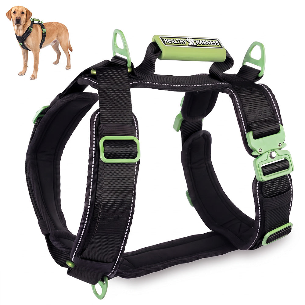 ULTIMATE URBAN Harness