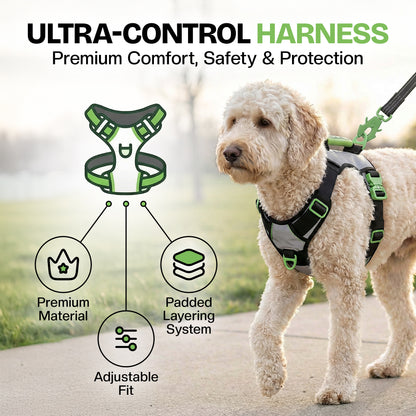 SUPREME SPORT Harness, LEASH and NITE Lite Bundle
