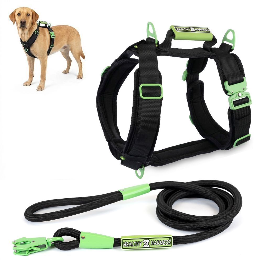 ULTIMATE URBAN Harness and STRAP LEASH Bundle
