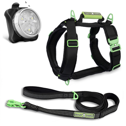 ULTIMATE URBAN Harness and STRAP LEASH and NITE Lite Bundle