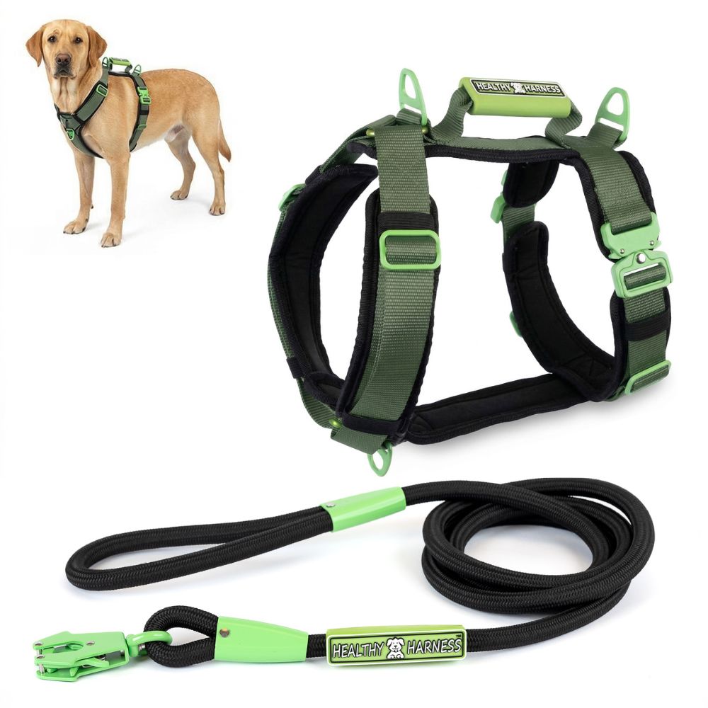 ULTIMATE URBAN Harness and STRAP LEASH Bundle