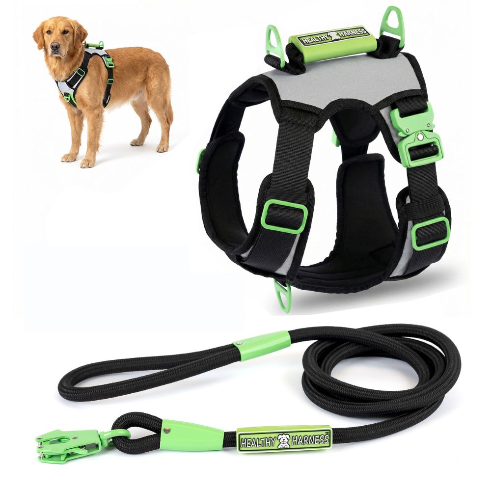 SUPREME SPORT Harness and STRAP LEASH Bundle