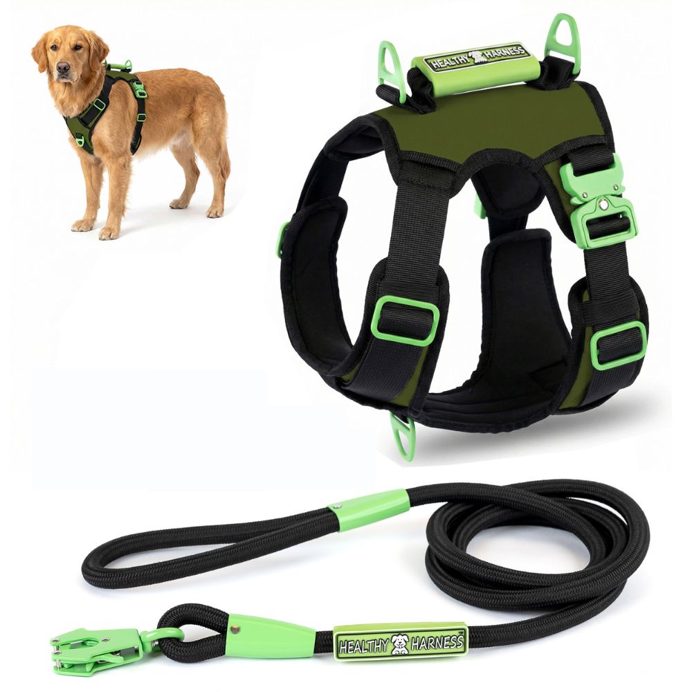 SUPREME SPORT Harness and STRAP LEASH Bundle