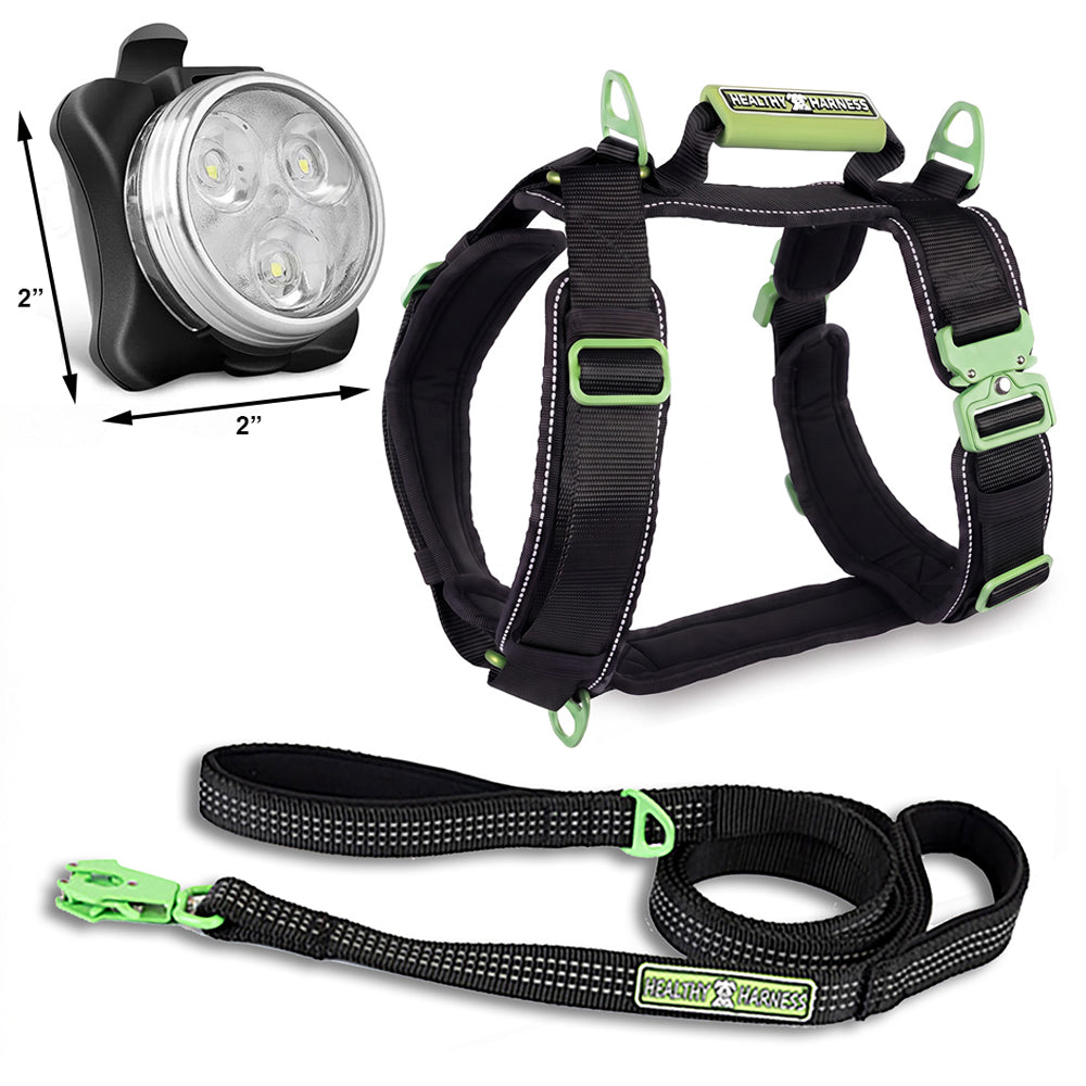 ULTIMATE URBAN Harness, LEASH and NITE Lite Bundle