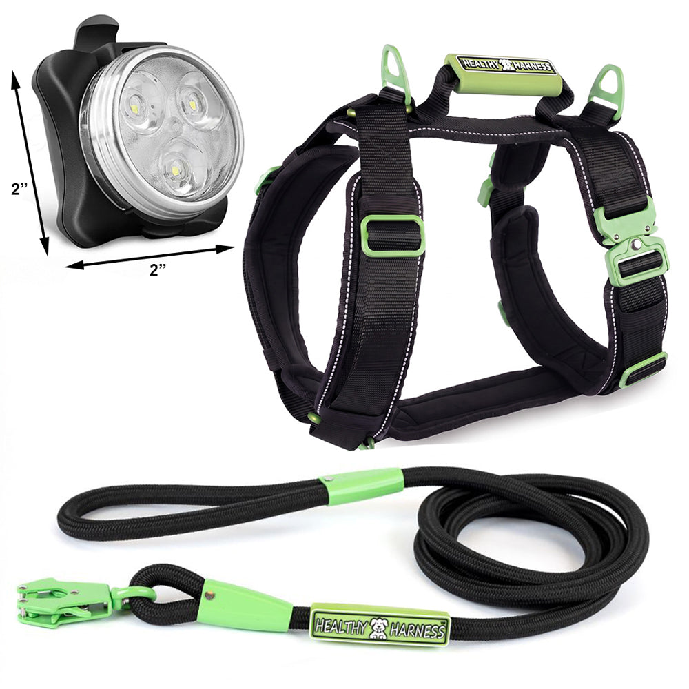 ULTIMATE URBAN Harness, LEASH and NITE Lite Bundle