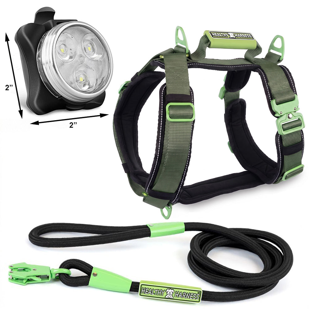 ULTIMATE URBAN Harness, LEASH and NITE Lite Bundle