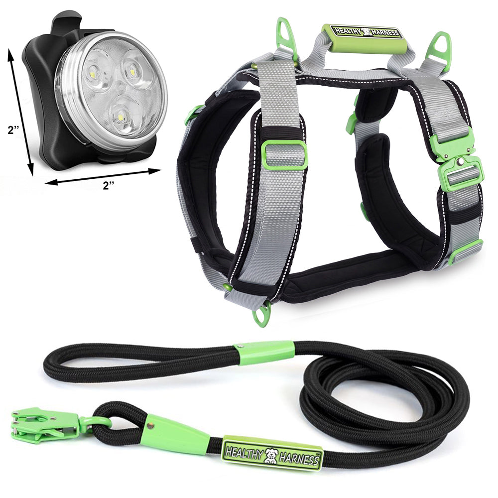 ULTIMATE URBAN Harness, LEASH and NITE Lite Bundle