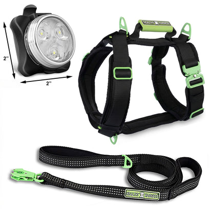 ULTIMATE URBAN Harness and STRAP LEASH and NITE Lite Bundle