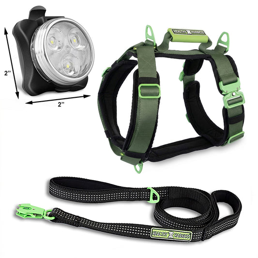 ULTIMATE URBAN Harness and STRAP LEASH and NITE Lite Bundle