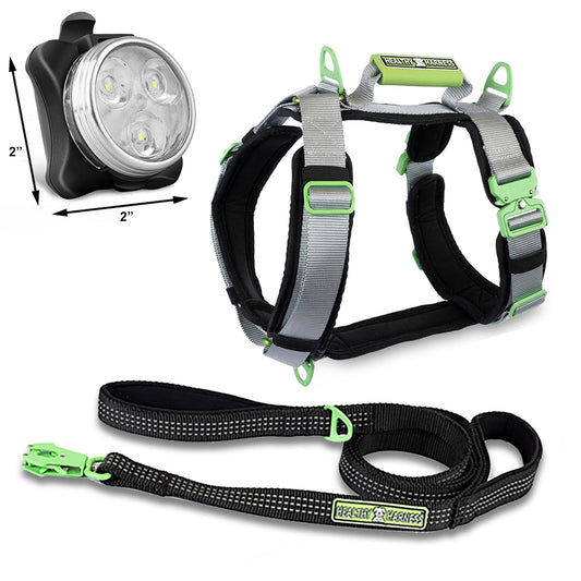 ULTIMATE URBAN Harness and STRAP LEASH and NITE Lite Bundle