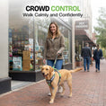 Load image into Gallery viewer, ULTIMATE URBAN Harness and STRAP LEASH Bundle
