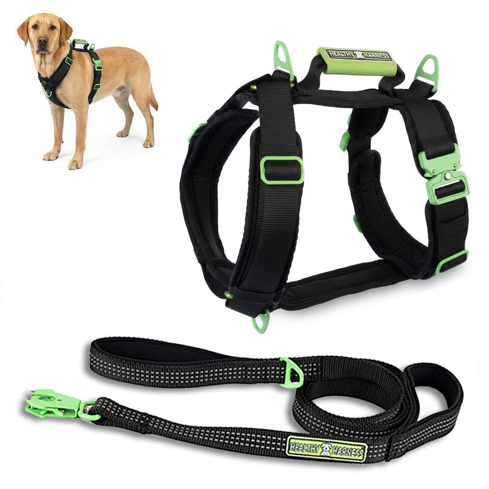 ULTIMATE URBAN Harness and STRAP LEASH Bundle