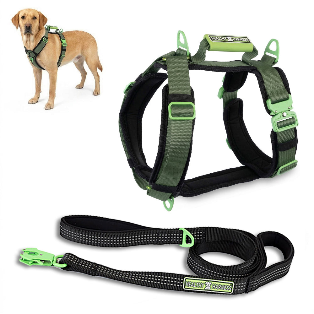 ULTIMATE URBAN Harness and STRAP LEASH Bundle