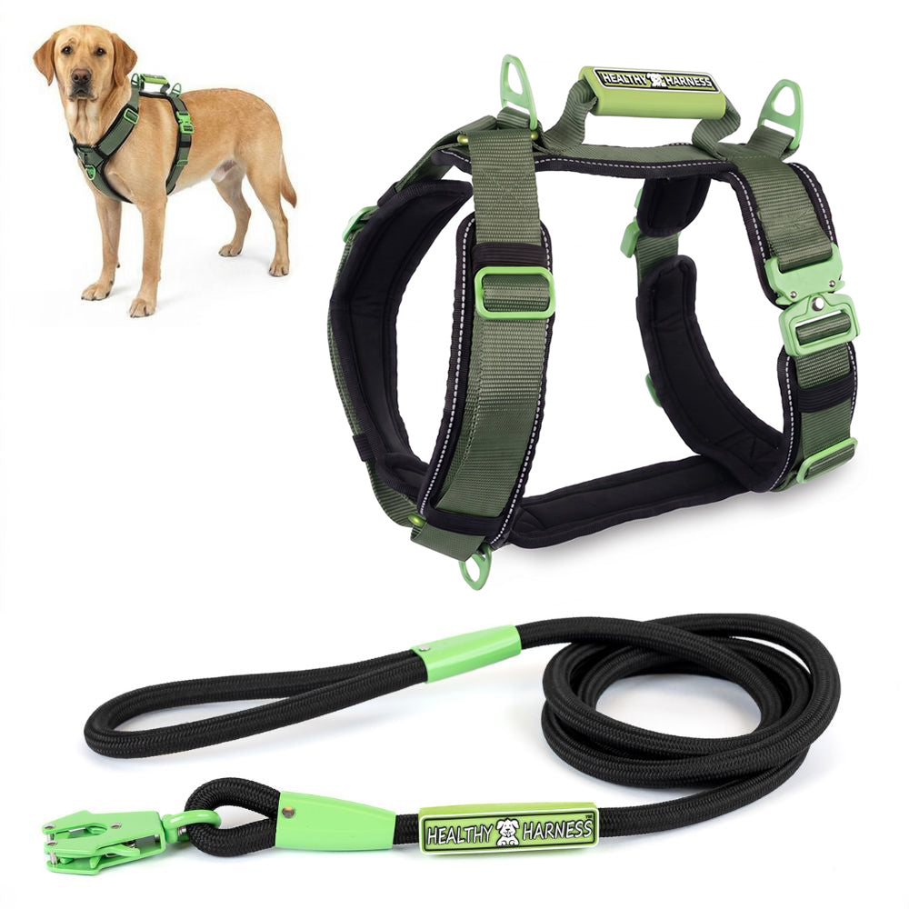 ULTIMATE URBAN Harness and LEASH Bundle