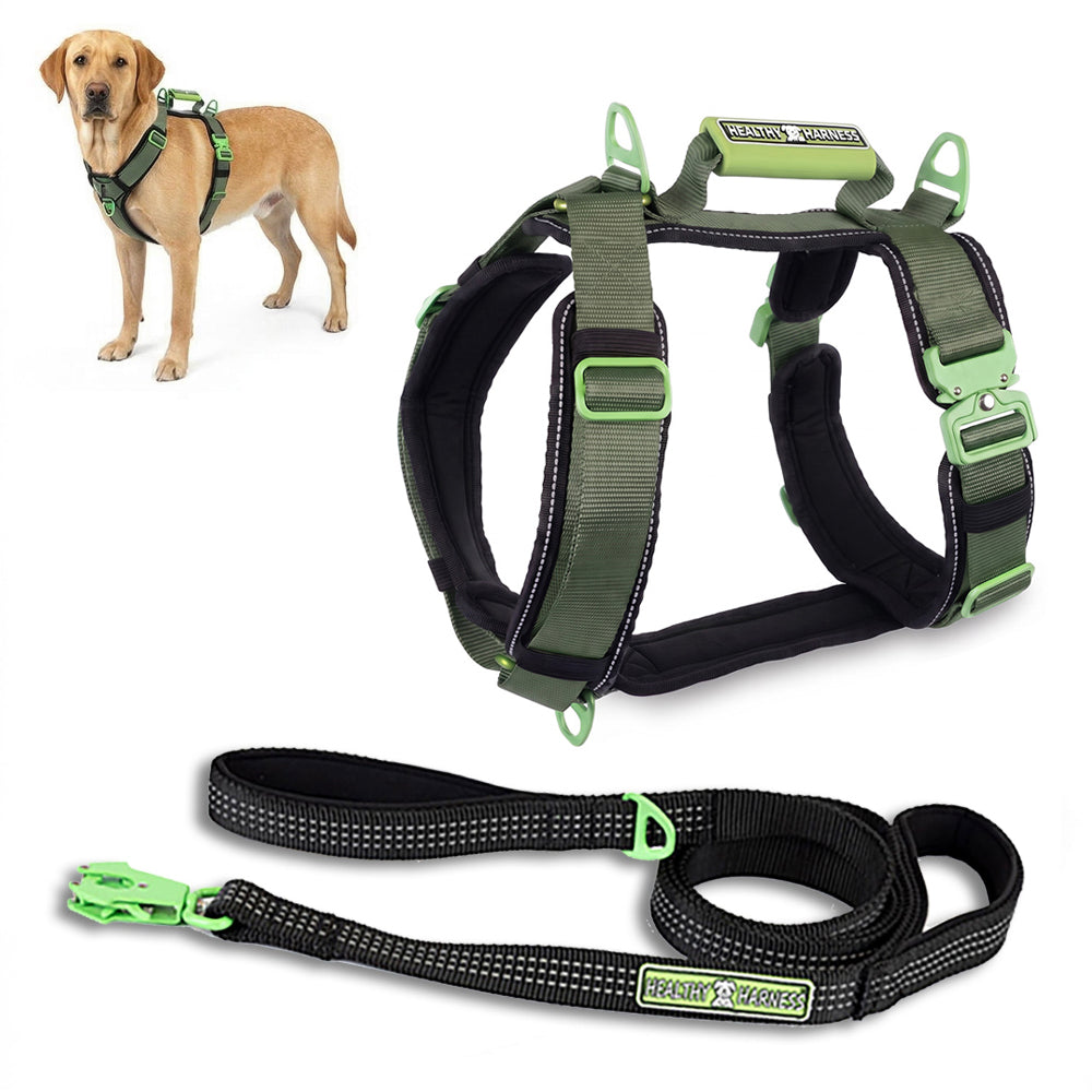 ULTIMATE URBAN Harness and LEASH Bundle