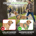 Load image into Gallery viewer, ULTIMATE URBAN Harness and STRAP LEASH Bundle
