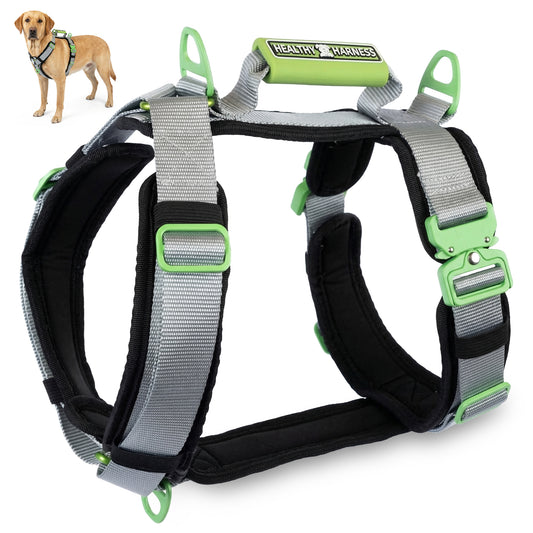 ULTIMATE URBAN Harness