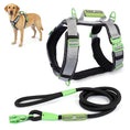 Load image into Gallery viewer, ULTIMATE URBAN Harness and LEASH Bundle
