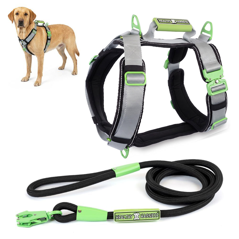 ULTIMATE URBAN Harness and LEASH Bundle