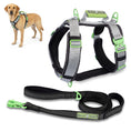 Load image into Gallery viewer, ULTIMATE URBAN Harness and LEASH Bundle
