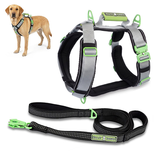 ULTIMATE URBAN Harness and LEASH Bundle