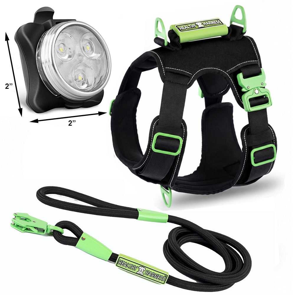 SUPREME SPORT Harness, LEASH and NITE Lite Bundle
