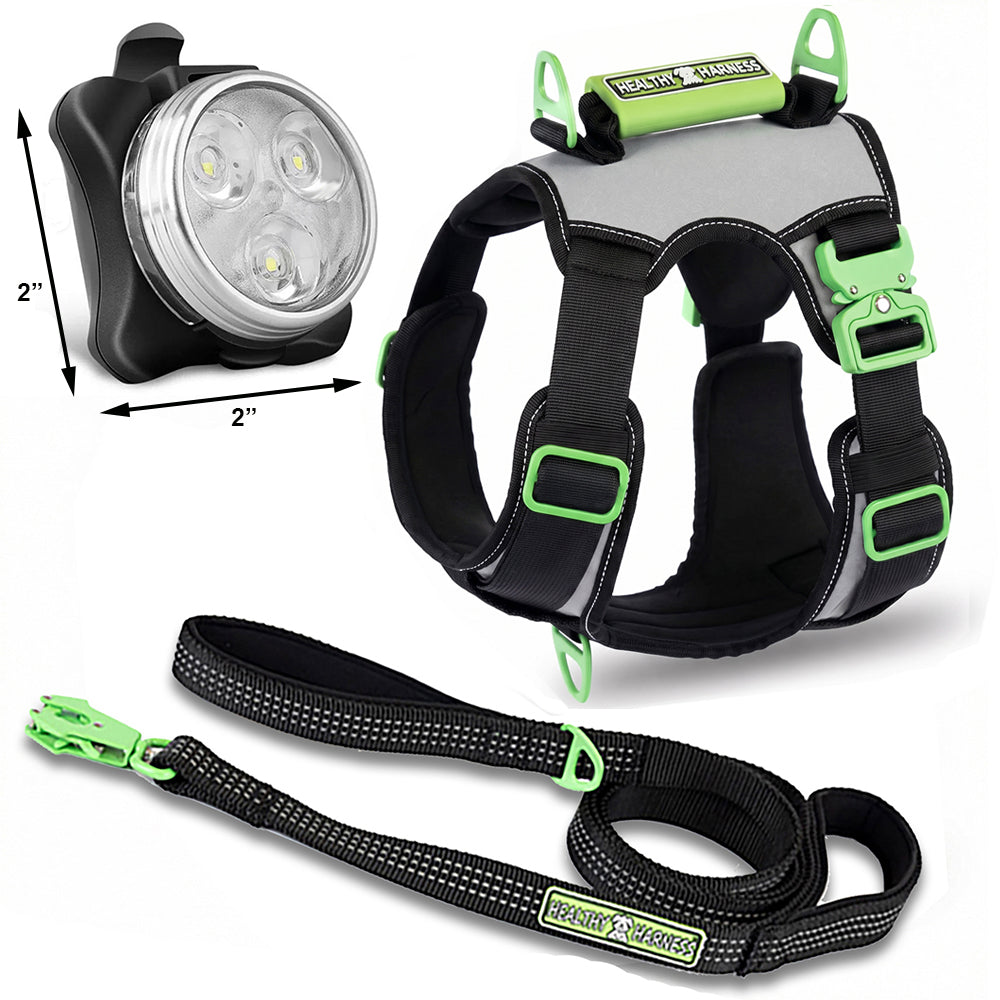 SUPREME SPORT Harness, LEASH and NITE Lite Bundle