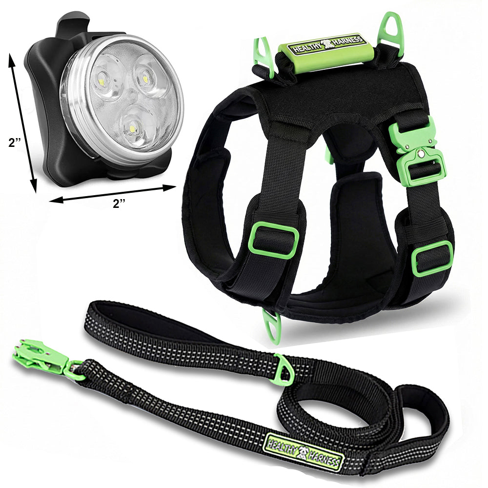 SUPREME SPORT Harness, LEASH and NITE Lite Bundle