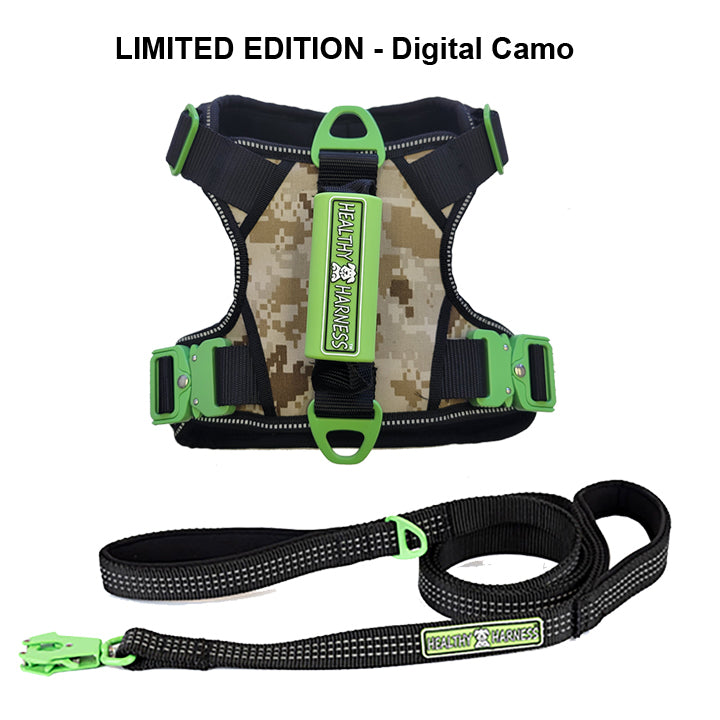 Limited Edition Sports Harness with Leash Size M
