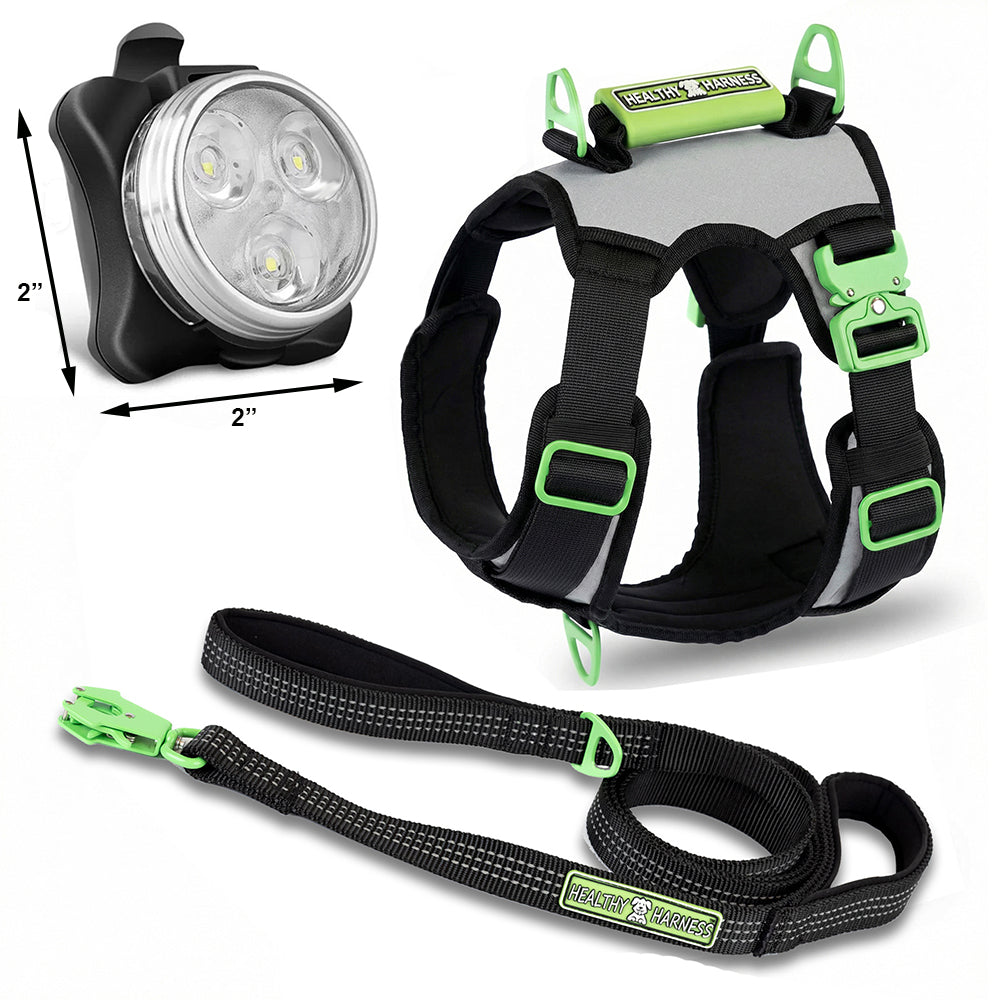 SUPREME SPORT Harness, LEASH and NITE Lite Bundle
