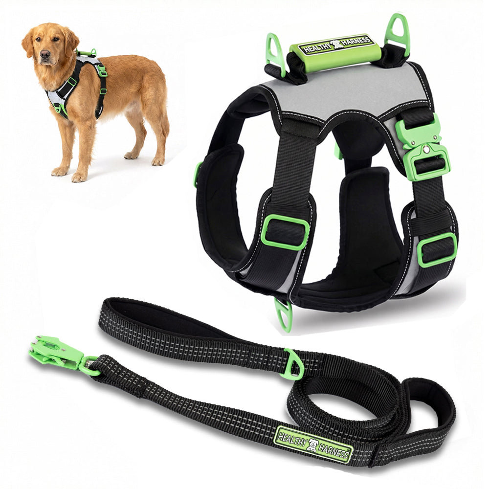 SUPREME SPORT Harness and LEASH Bundle