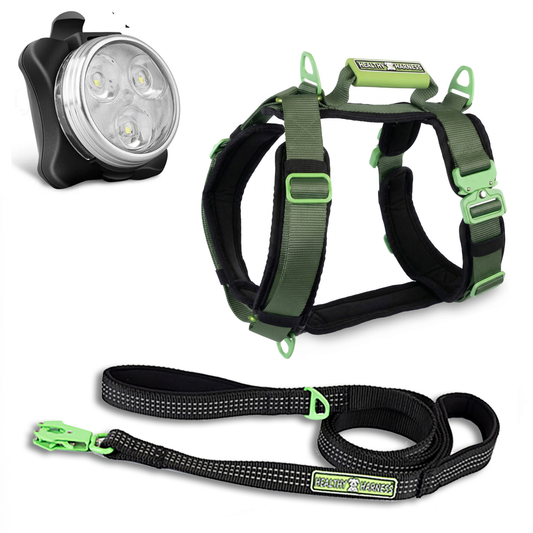 ULTIMATE URBAN Harness and STRAP LEASH and NITE Lite Bundle